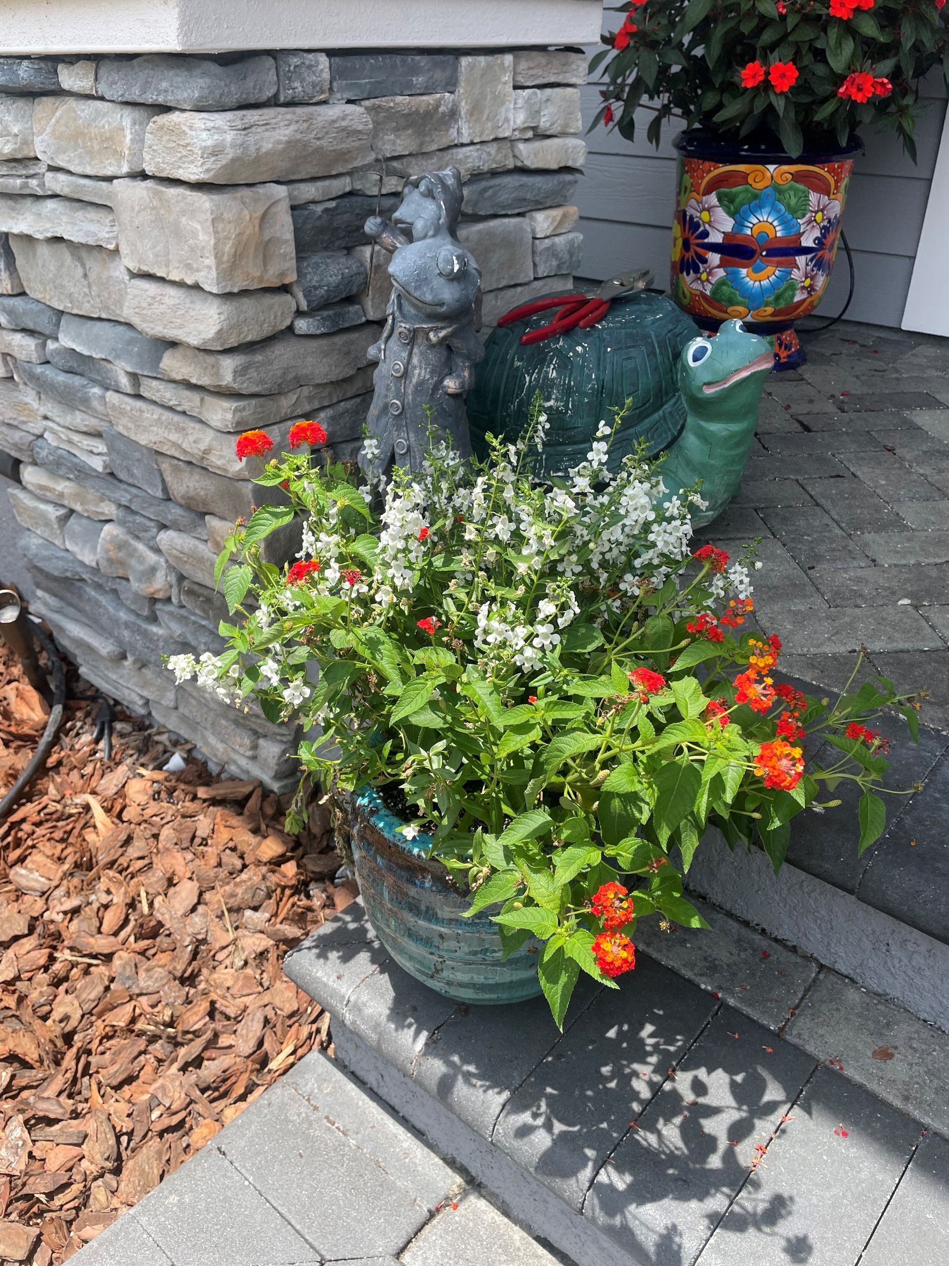 Container Planting