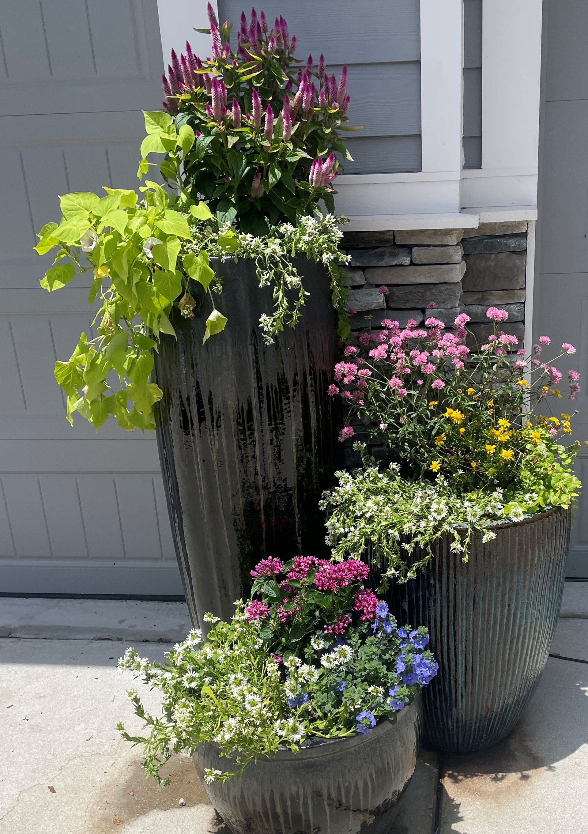 Container Planting