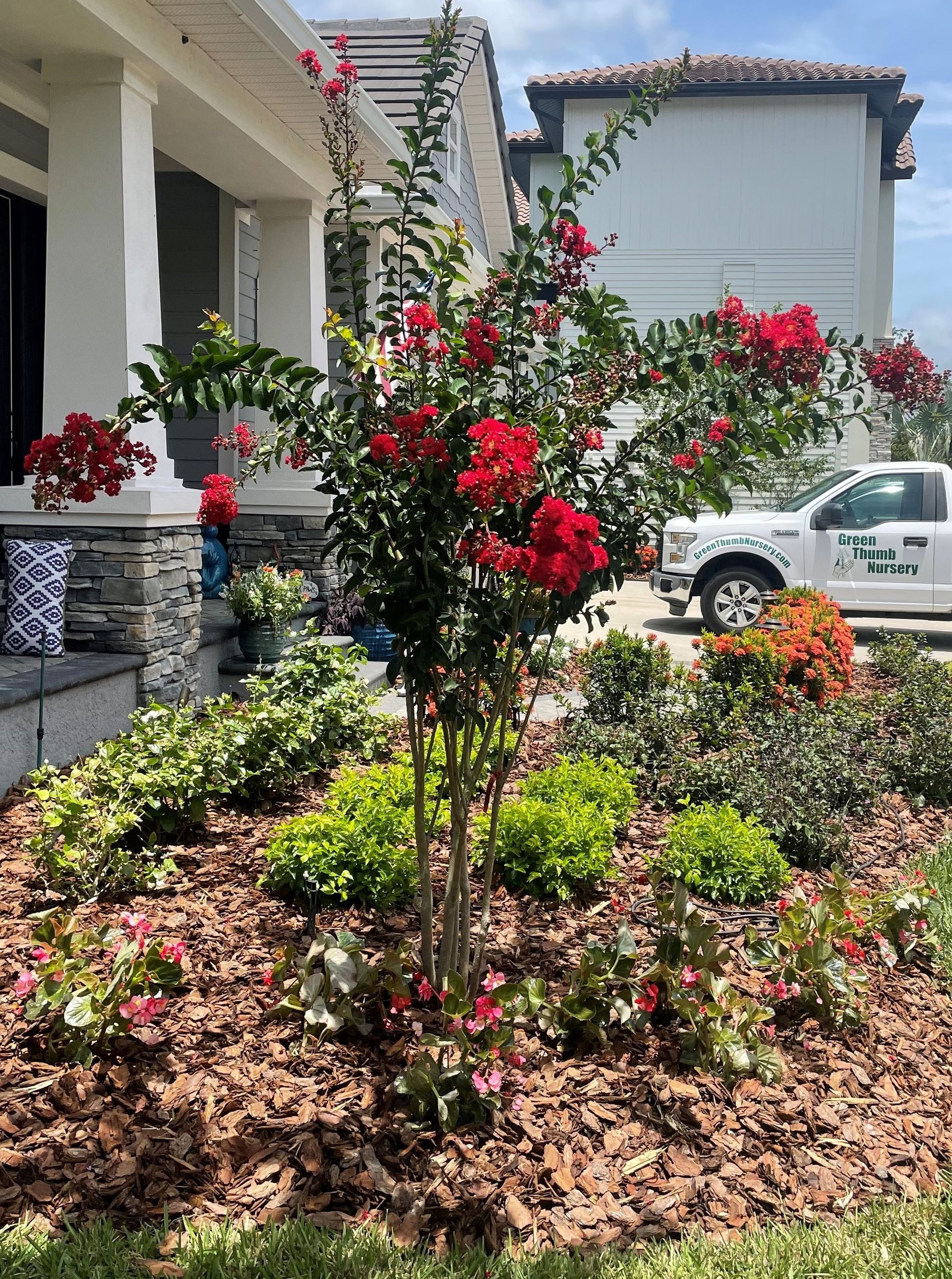 Crape Myrtle Landscaping
