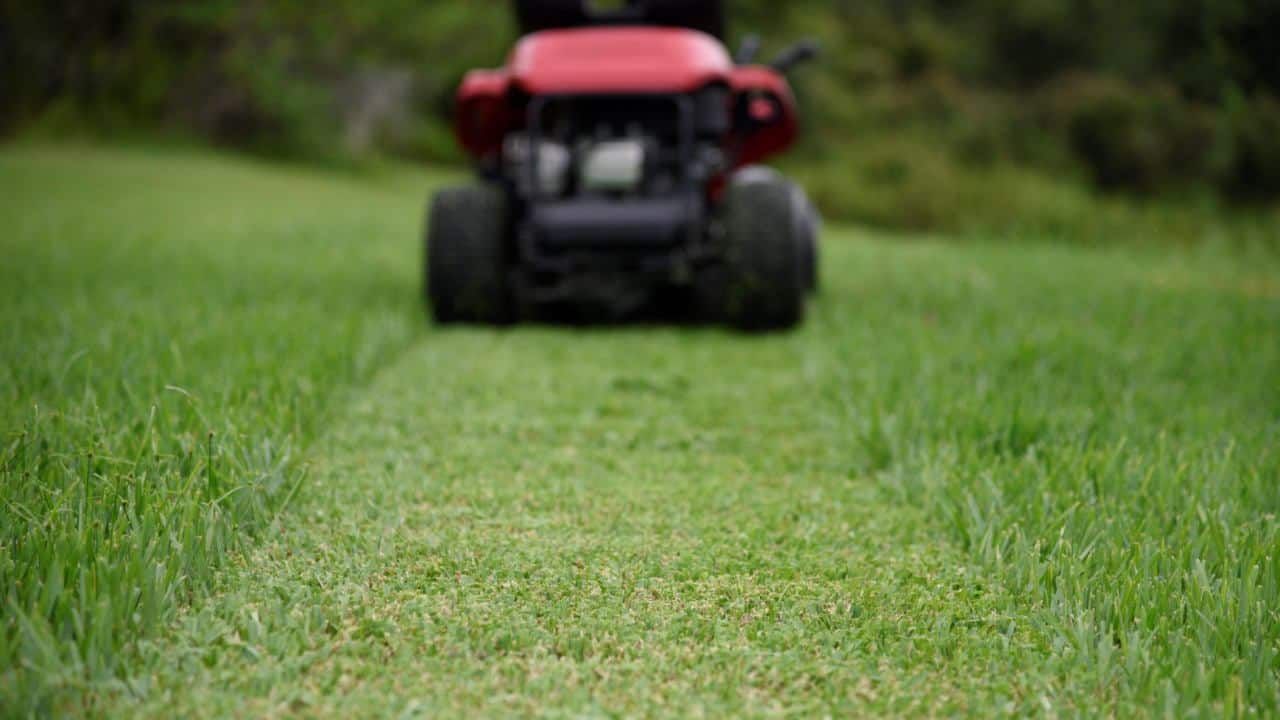 Mowing Lawn