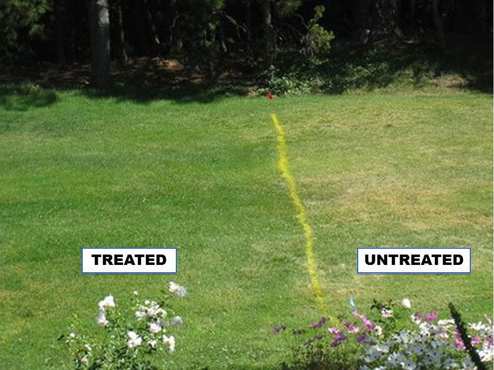 Hydretain Lawn Comparison