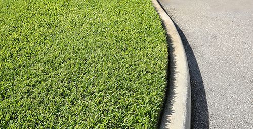 St. Augustine Lawn