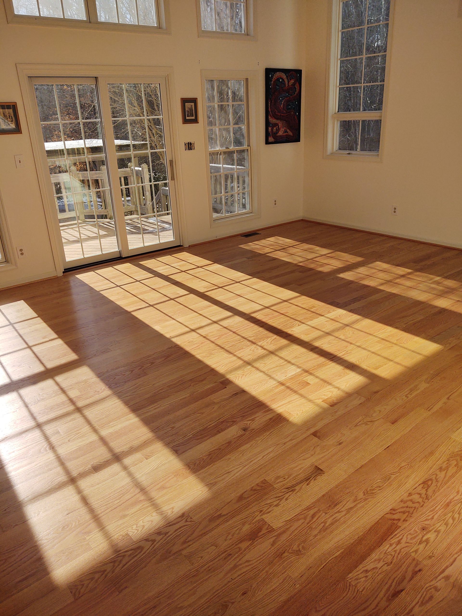 Sunlight streams through glass doors and windows, casting grid-patterned shadows across light-colored wooden flooring.