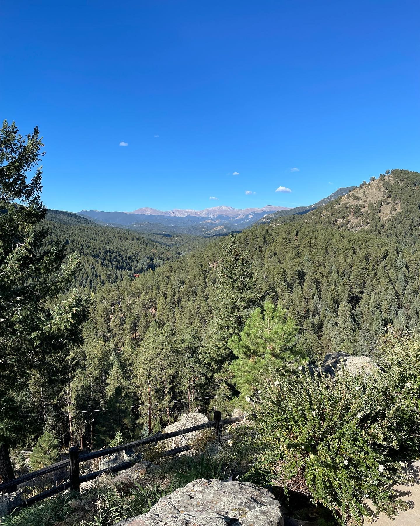 Valley view of green forest and distant snowy mountains under a bright blue sky.