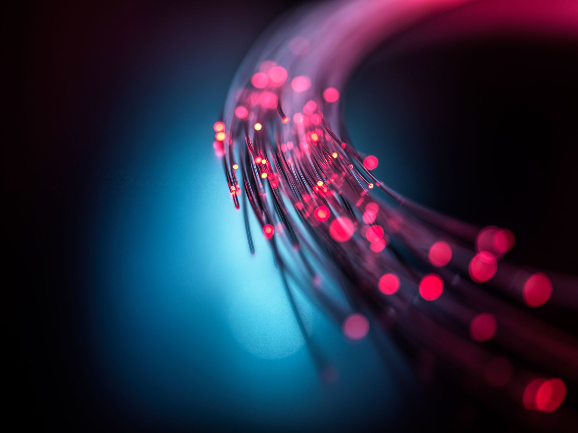 A close up of a bunch of red and blue lights on a dark background.