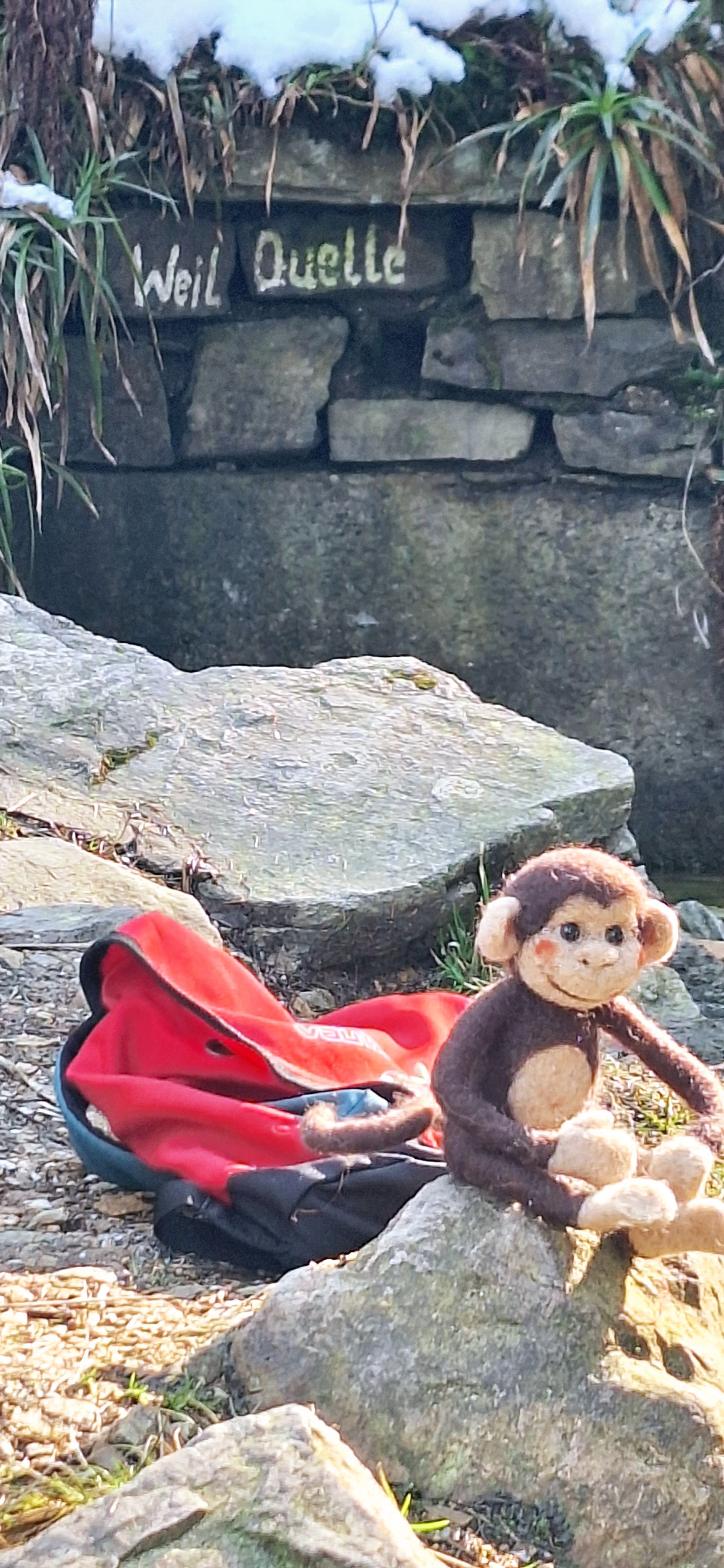 Ein ausgestopfter Affe sitzt auf einem Felsen neben einer roten Tasche.