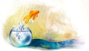 Der Goldfisch der Veränderung