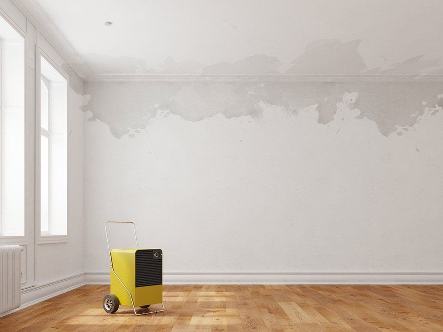 newly repaired water damage