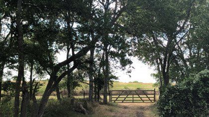 The Grace Trail