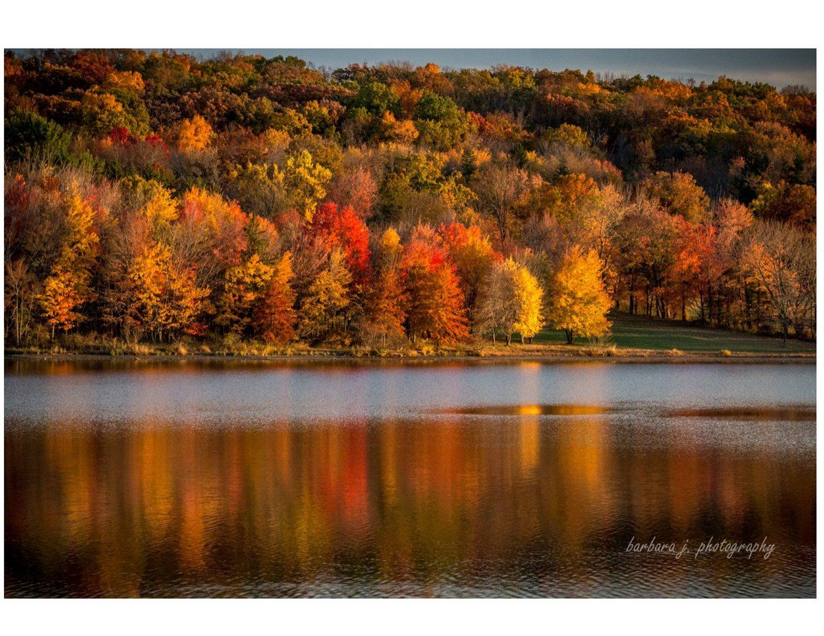 the-changing-colors-of-fall