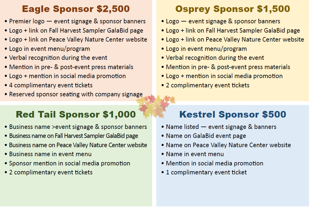 Sponsorship levels