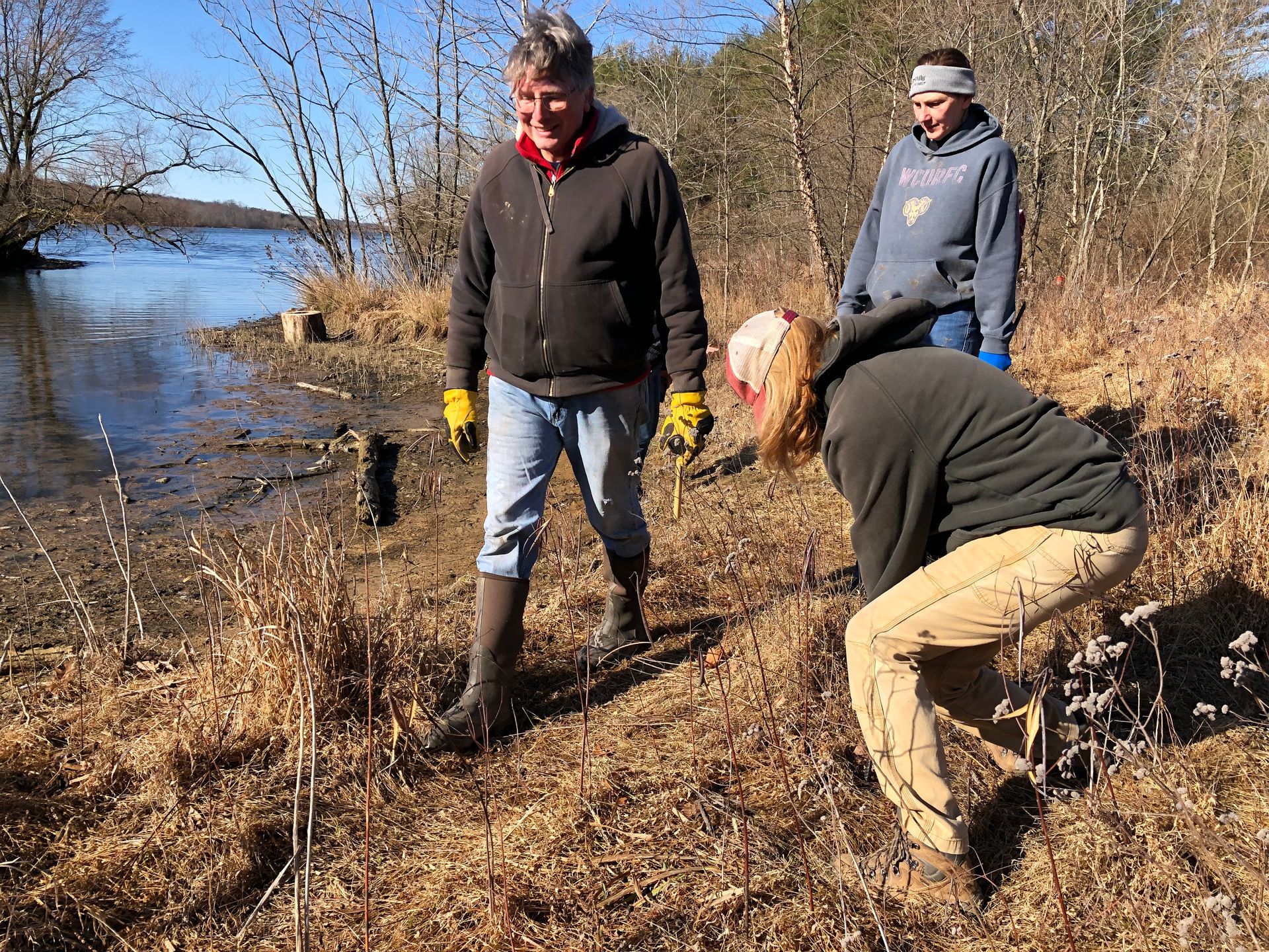 A group of people are working in a field near a body of water.