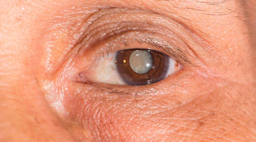 DRA PATRICIA DOMINGUEZ ALVAREZ Atención a niños y adultos