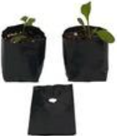 Hay tres macetas con plantas en ellas.