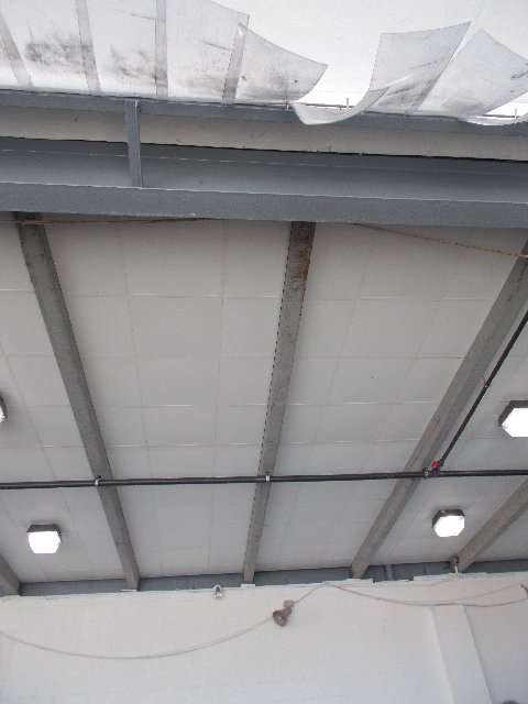 View of a white ceiling with gray metal beams and rectangular lights.