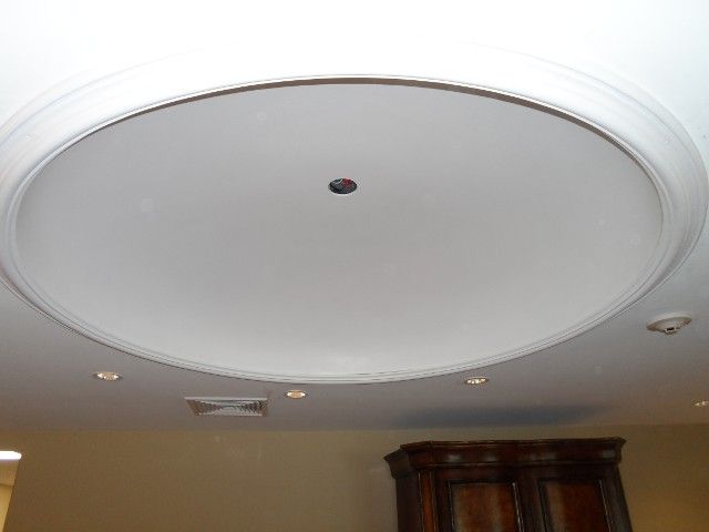 A white ceiling with a circular recessed design, crown molding, and a single black hole.