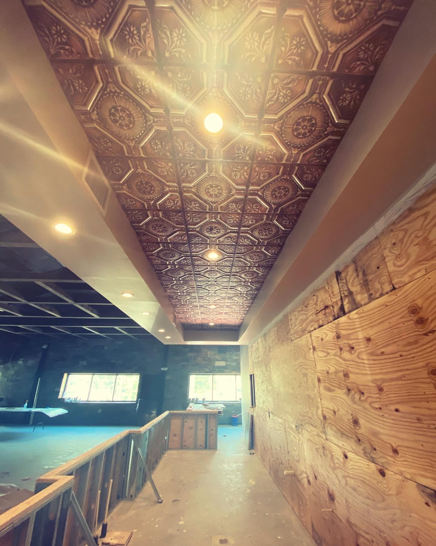 Brown ornate ceiling with recessed lighting; unfinished construction interior.