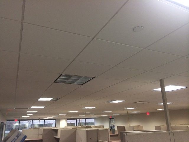 Office ceiling with fluorescent lights and cubicles below.