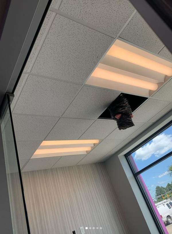 Ceiling tiles with a hole, revealing insulation; fluorescent lights and window visible.