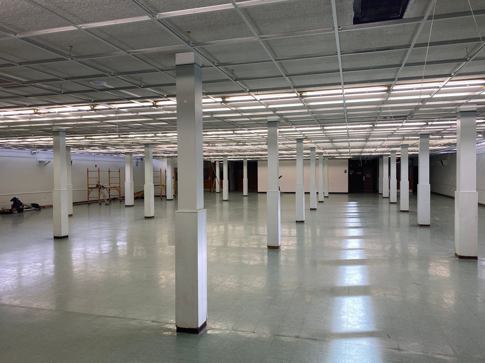 Empty, large room with rows of white support columns and a grid ceiling.