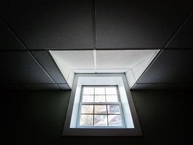 Window in a dark room with a white frame and a view of the outside. Ceiling tiles surround the opening.