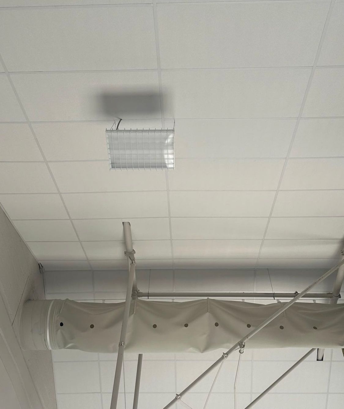 White ceiling with grid of tiles, rectangular fluorescent light fixture. Fabric-covered ducting beneath.