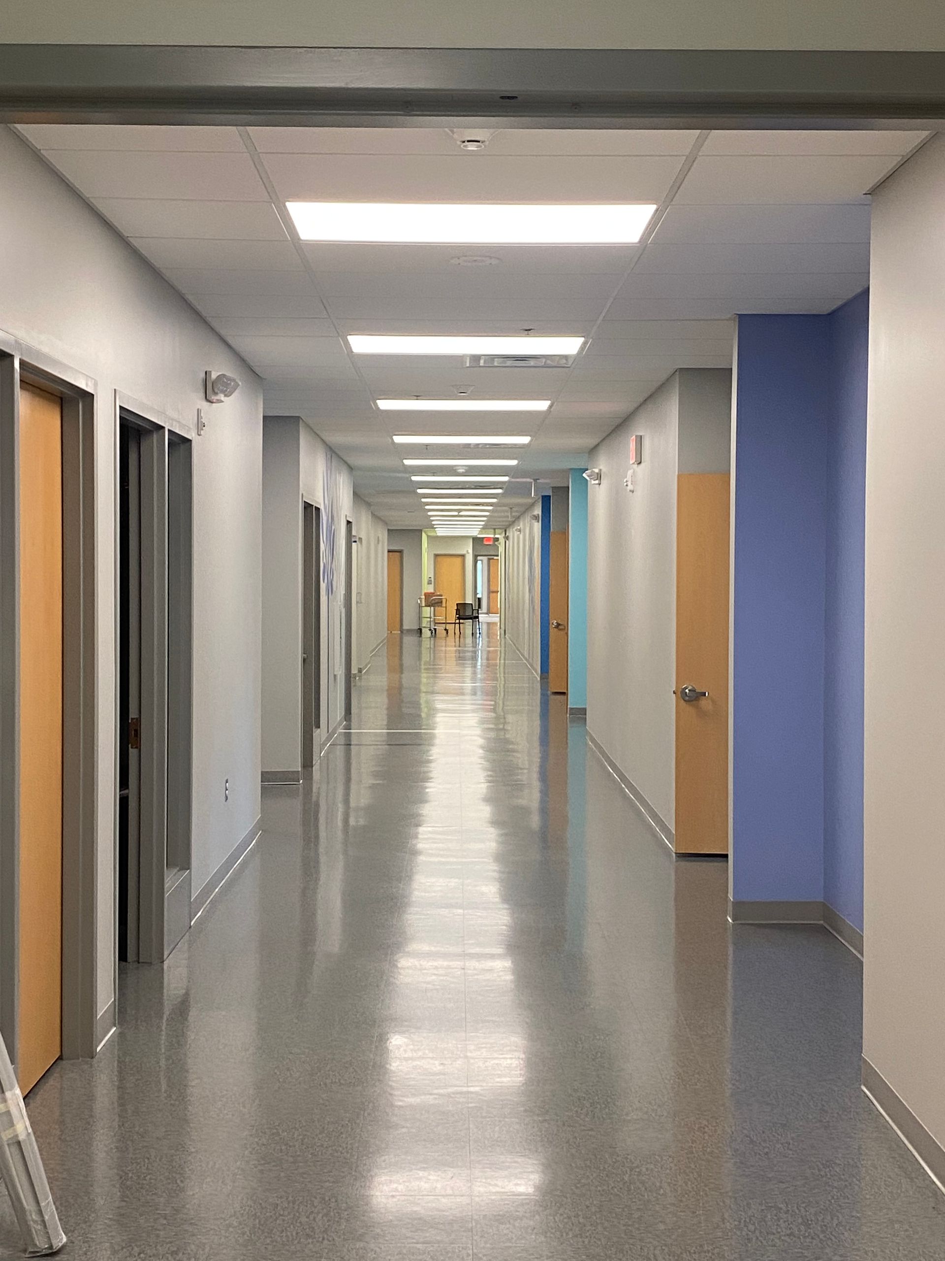 Long, empty school hallway with shiny floor, doors on both sides, and ceiling lights.