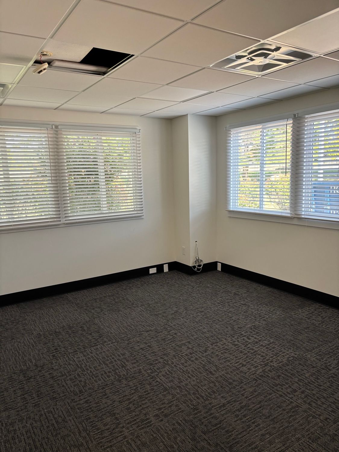 Empty office room with two windows, blinds, gray carpet, white walls, and a damaged ceiling tile.