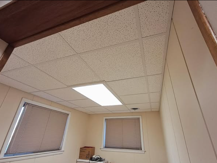 Office interior with a drop ceiling, two windows, and beige walls.