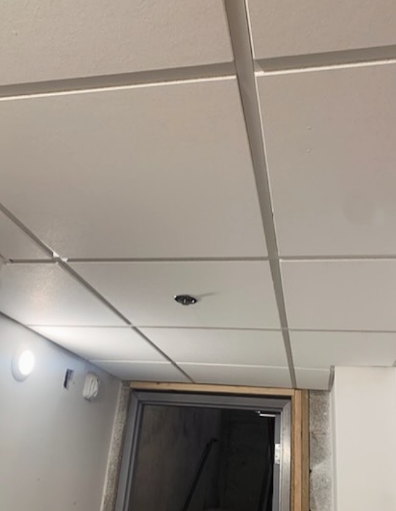 White drop ceiling with recessed lighting and a doorway.