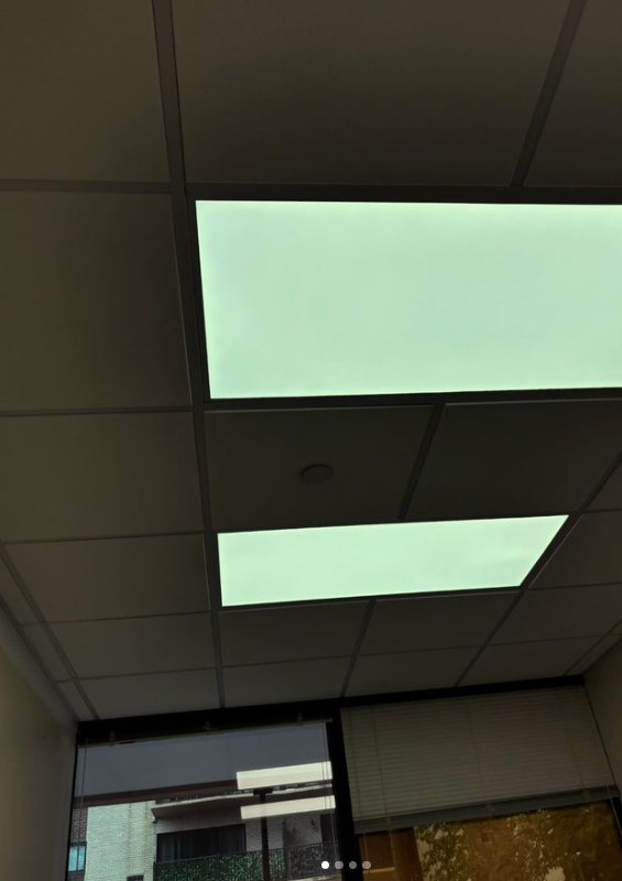 Ceiling with rectangular fluorescent lights, and a window below.