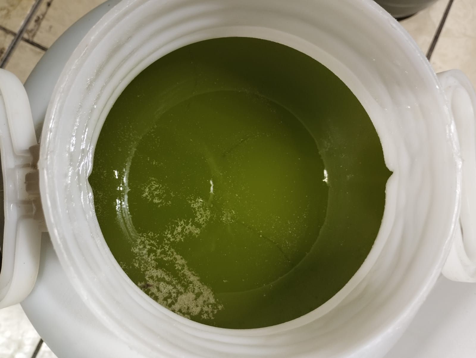 olio in giara