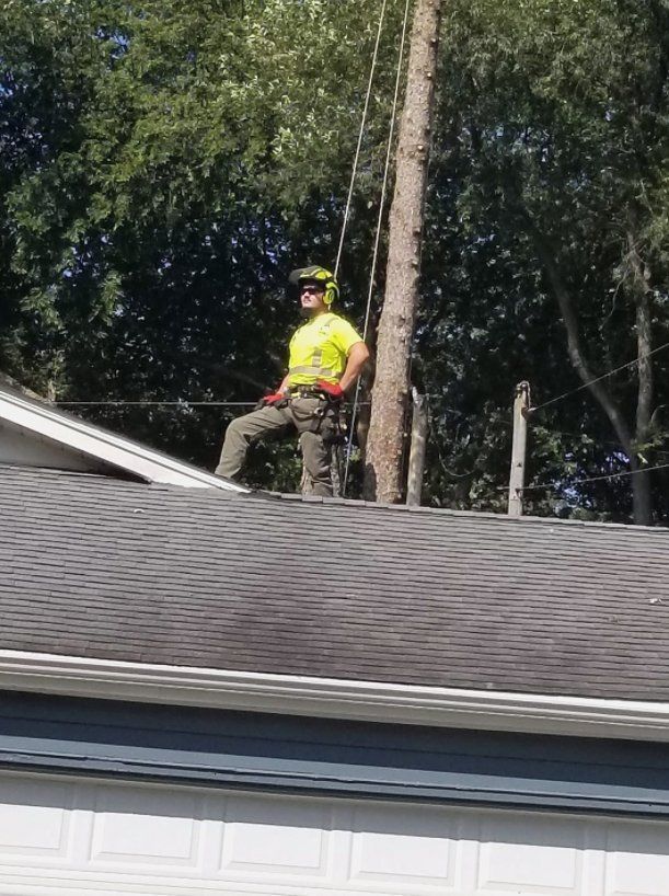 A man is standing on top of a roof next to a tree.