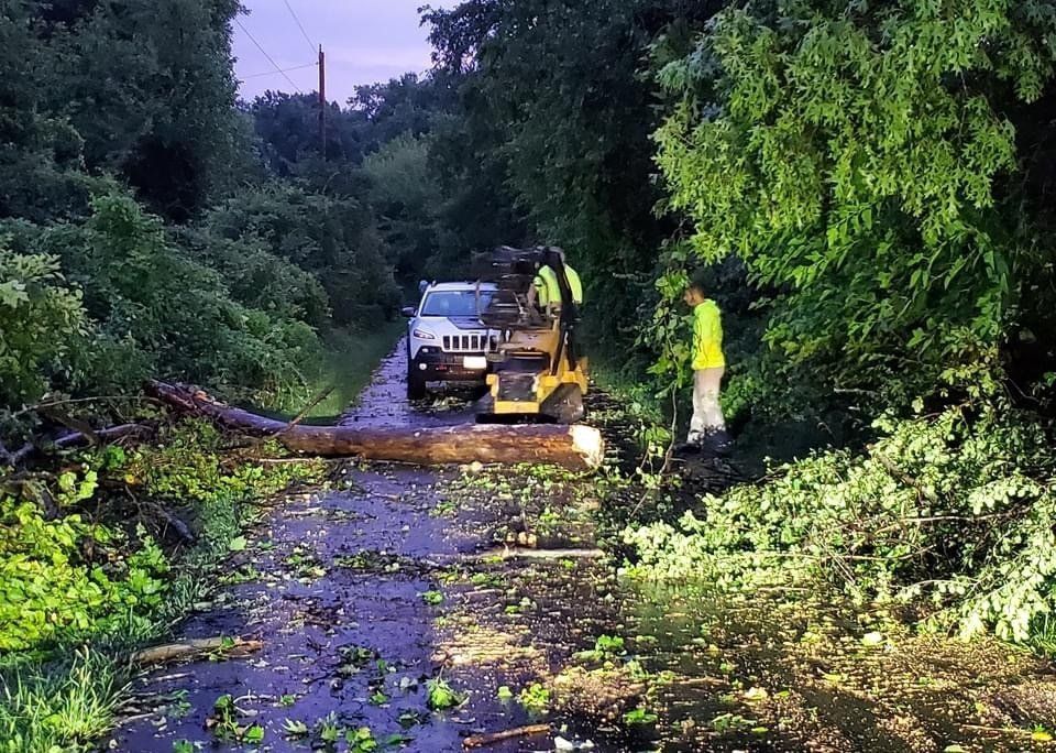A jeep is driving down a road that has fallen trees on it