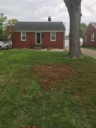 Brick house with a green lawn, large tree in front, and a brown patch in the grass.