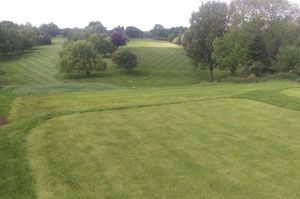 Soft landscaping services