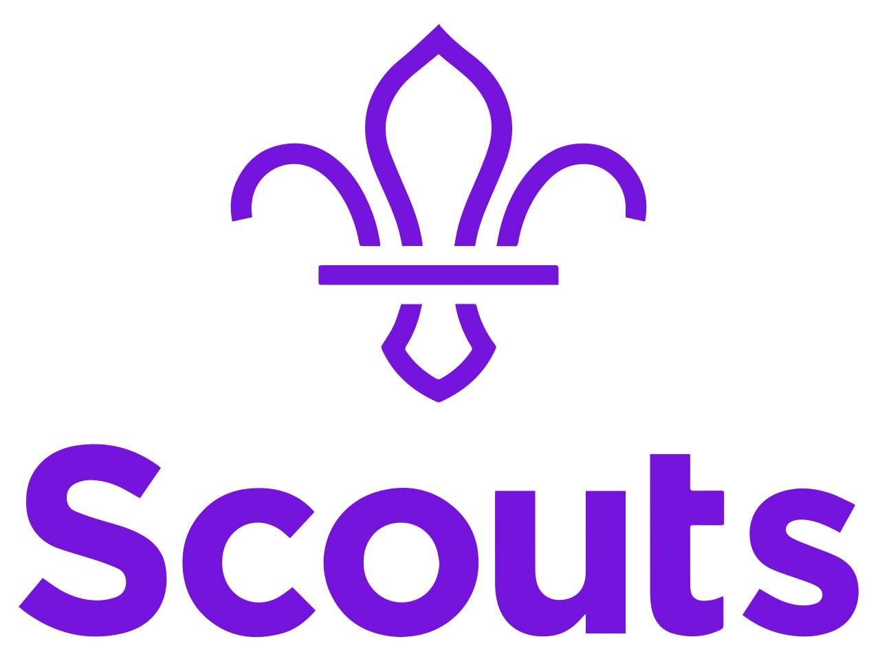 TSA The Scout Association Logo