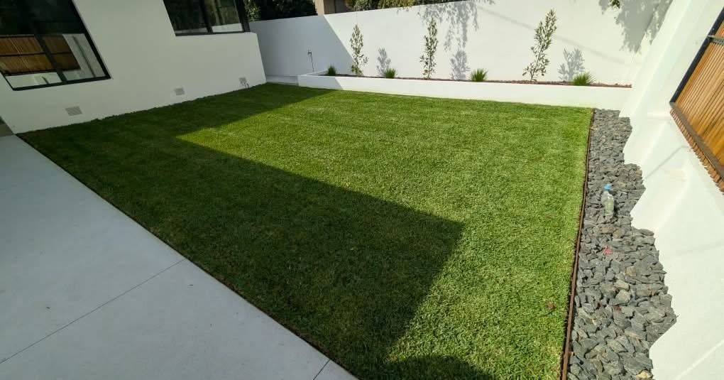 Sunlit small backyard with green lawn, white walls, paved patio, and a strip of dark rocks along the right side
