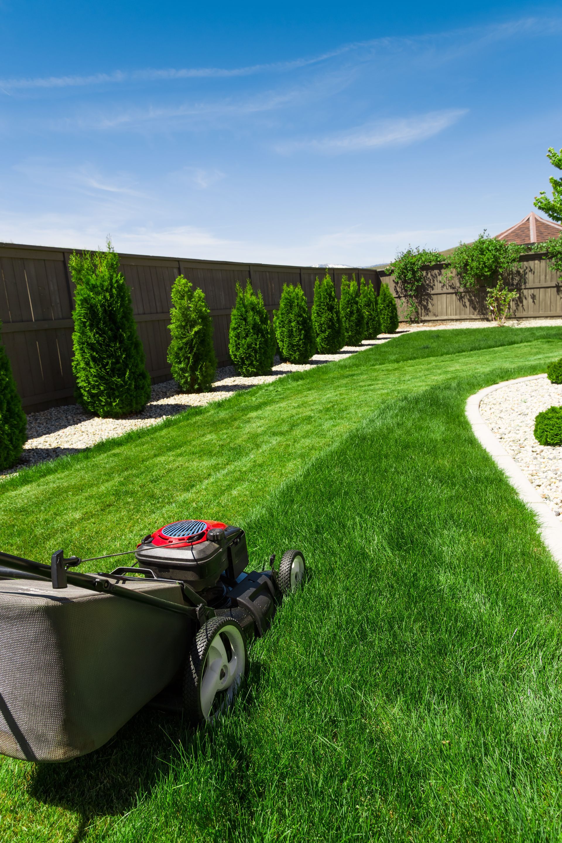 Lawn mower cutting bright green grass in a sunny backyard with a curved path and hedges