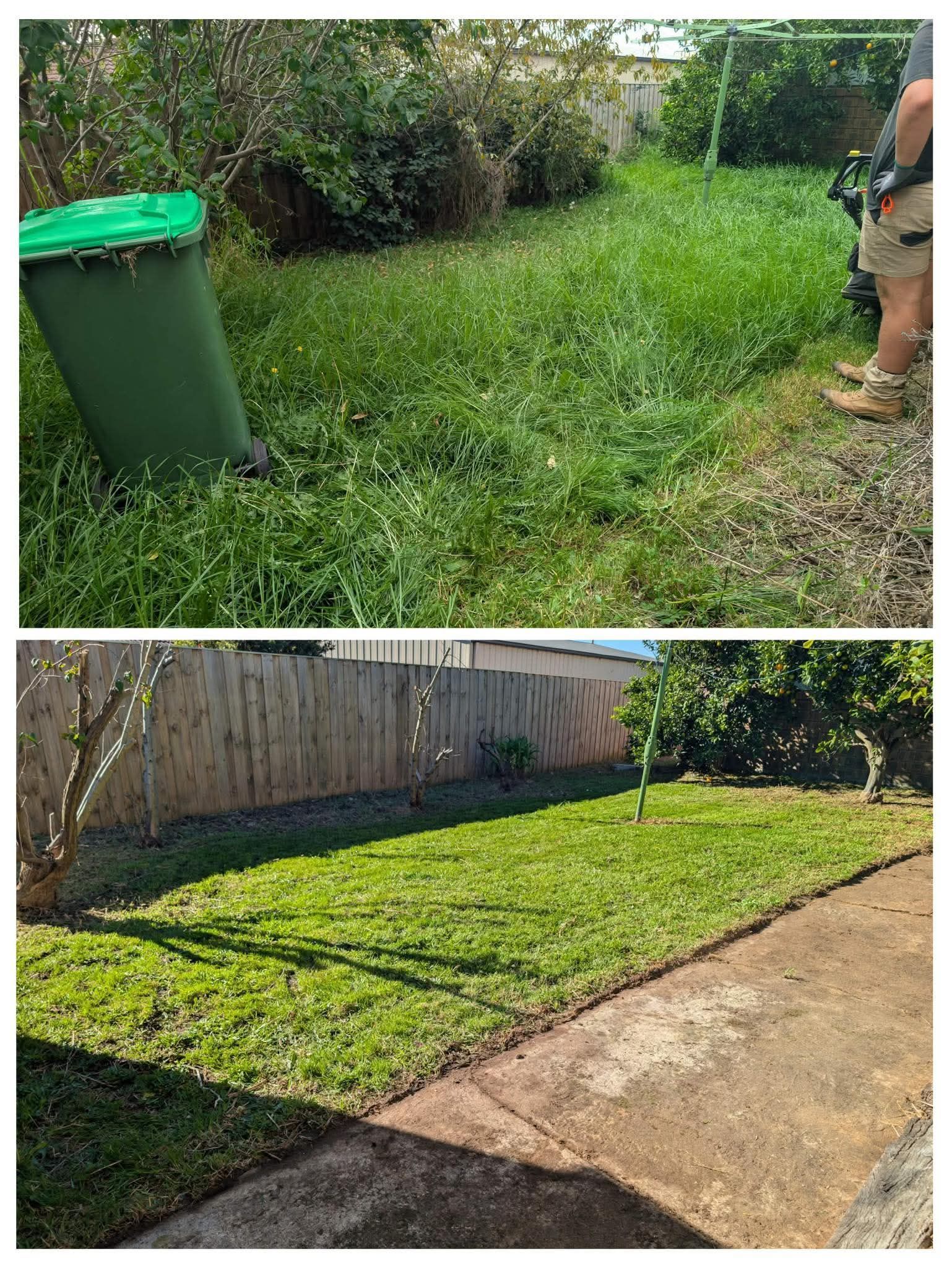 Overgrown grassy yard beside a fence, with a green trash bin; below, the same area looks freshly mowed.