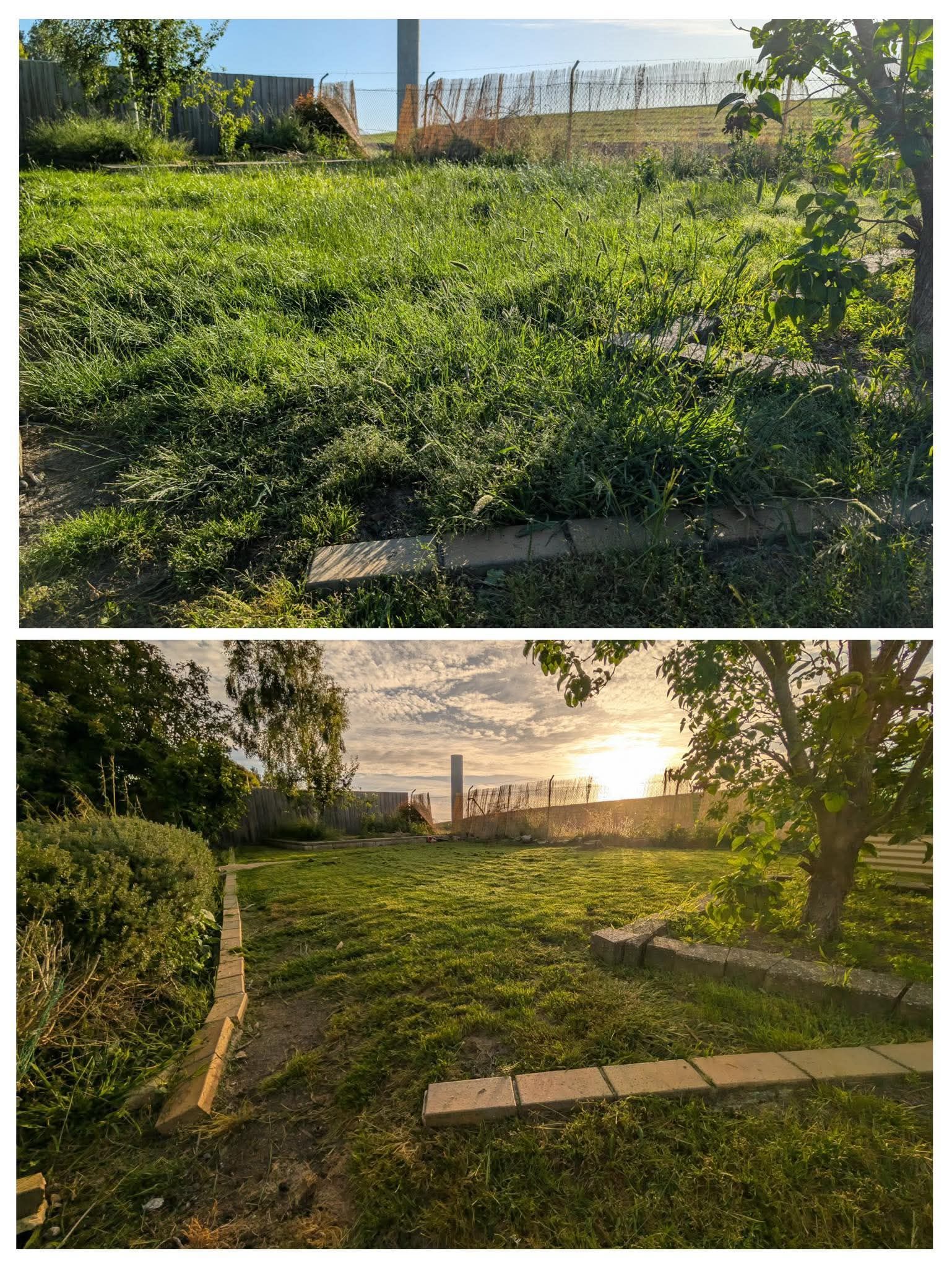 Two views of a lush green garden with a stone path, trees, and warm sunset light.