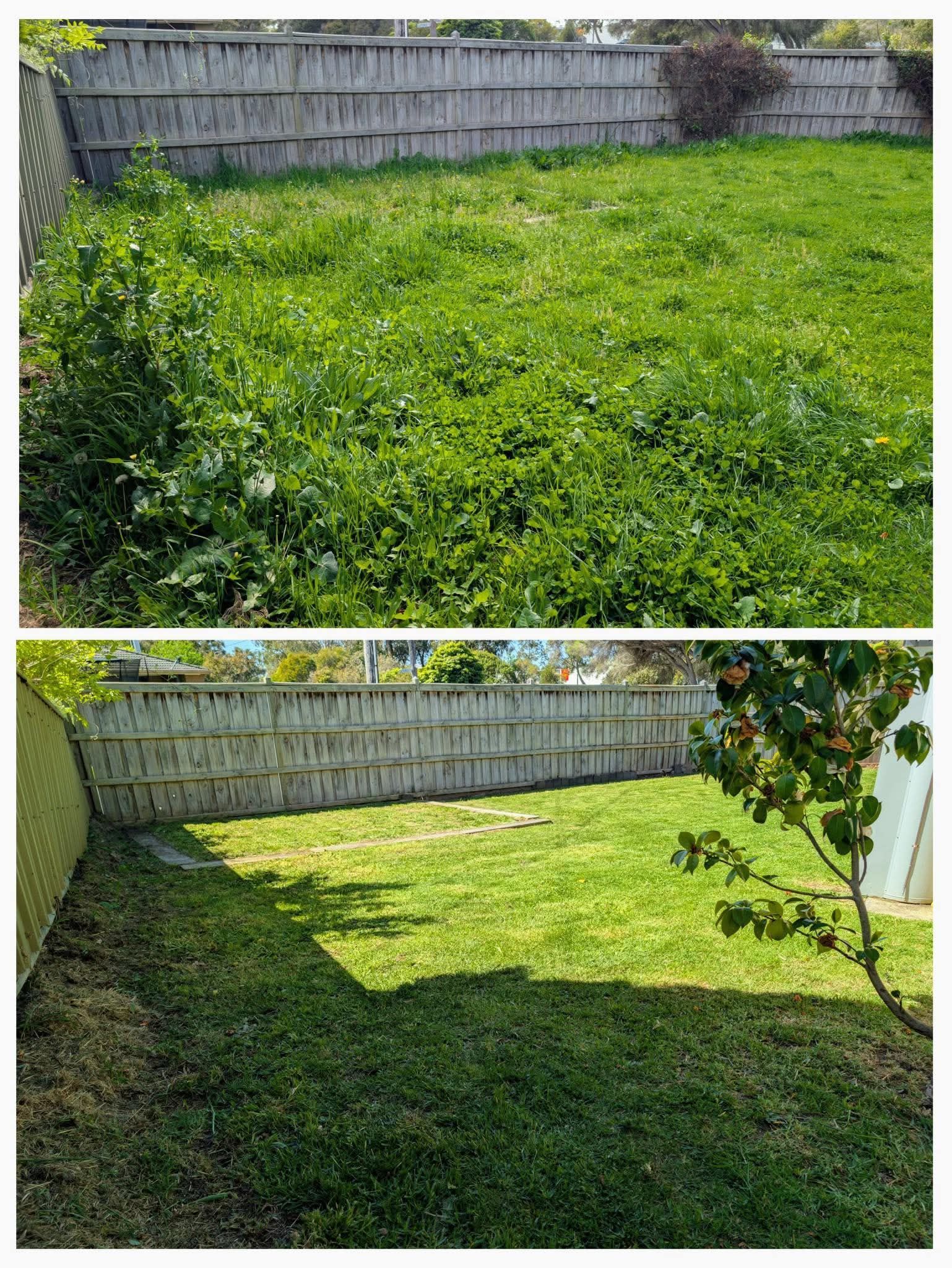 Backyard lawn before and after mowing, with a stone retaining wall and shaded grass lower half