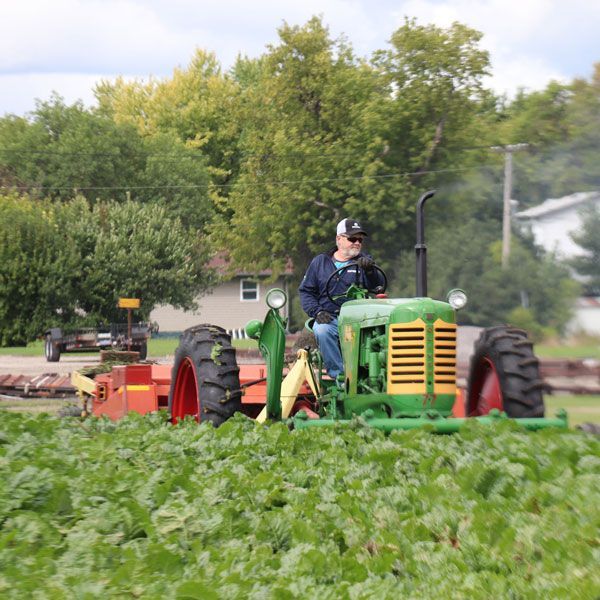 man plowing crops