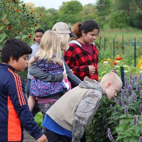 nature-education-Nana's-Farm