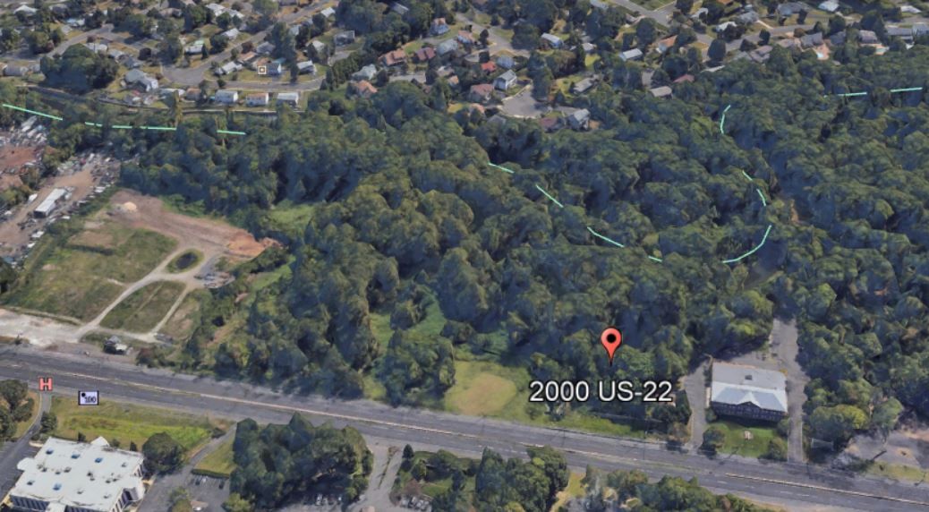 Aerial view of a wooded area, with a road and businesses below. A marker pinpoints a location within the trees.