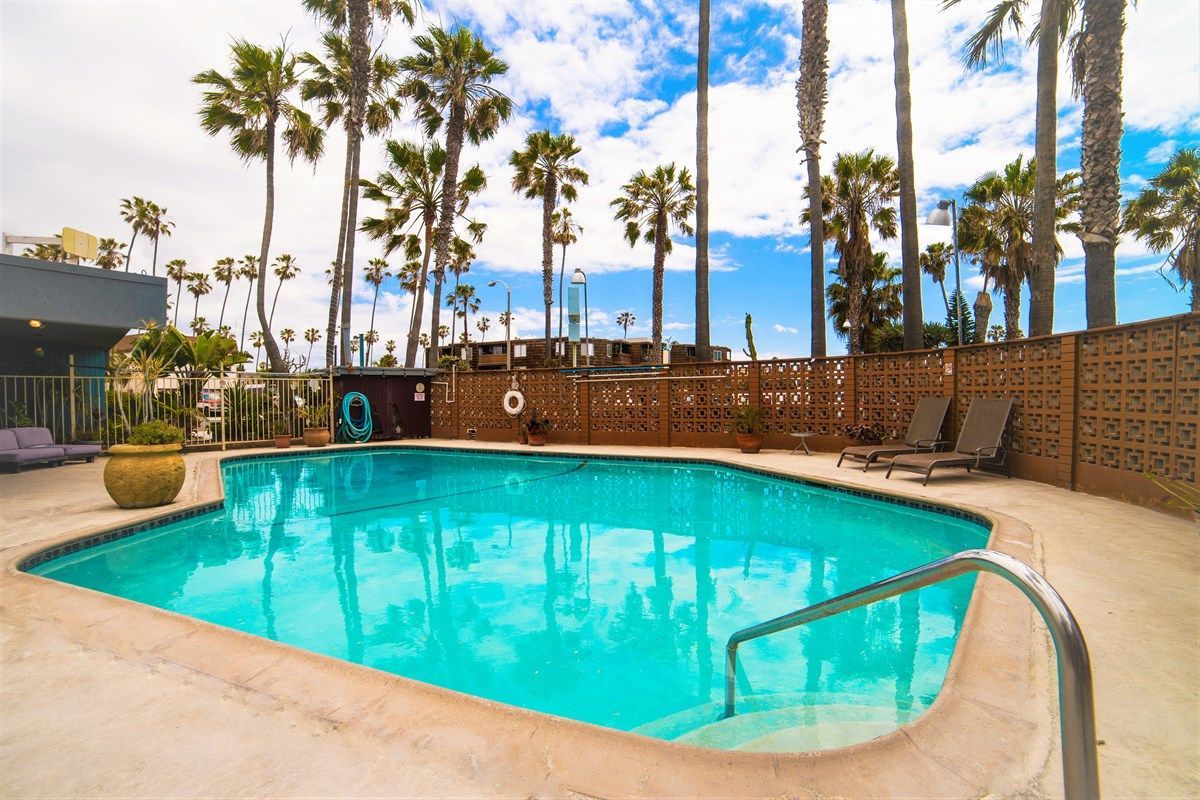 Swimming pool with palm trees under a blue sky. Two lounge chairs are on the side.