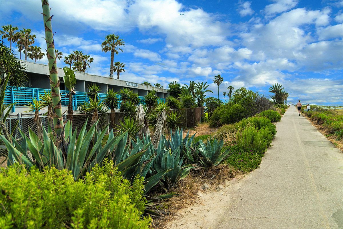 Pathway along a beach with buildings, greenery, and a blue sky with clouds.