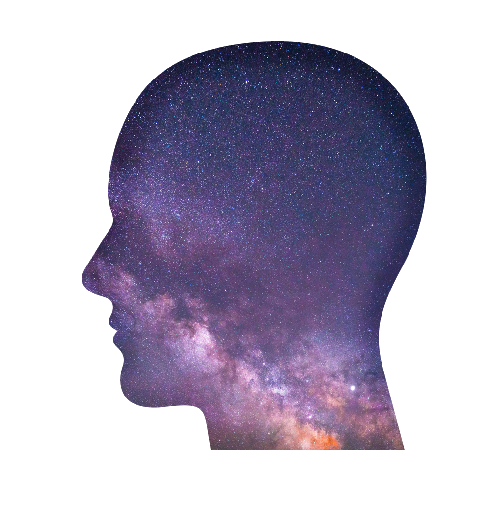 MindsetView 