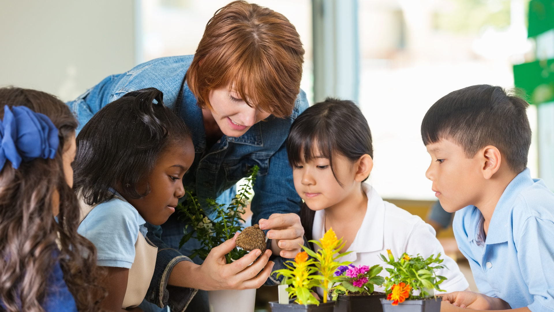 A teacher is teaching a group of children about plants in a classroom.