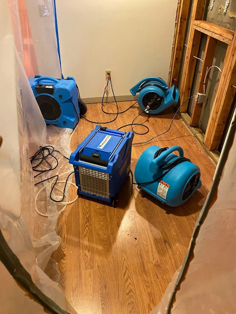 Total Restoration photo 2